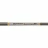 Aerotech SteelFiber Fc Graphite Iron Shafts